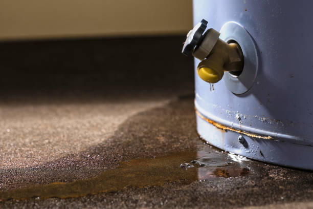 Best Mold removal after water damage  in Tiffin, IA