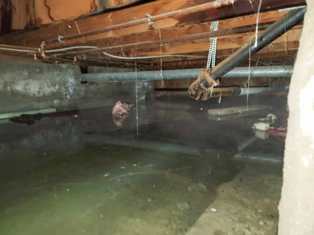 Best Emergency water extraction  in Tiffin, IA