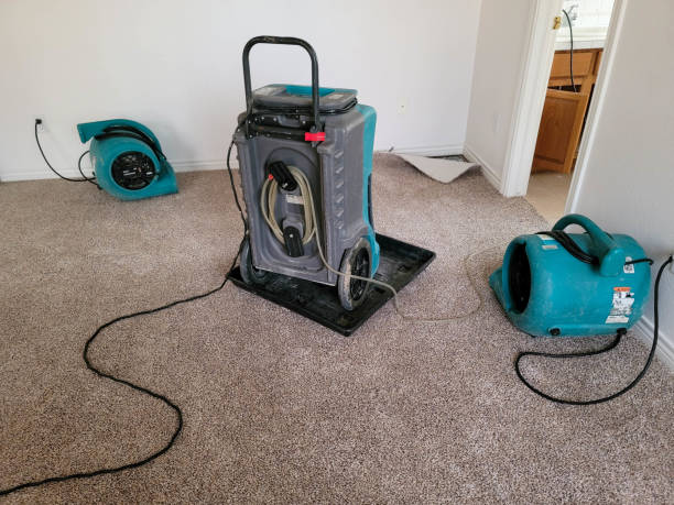 Best Water damage contractors near me  in Tiffin, IA