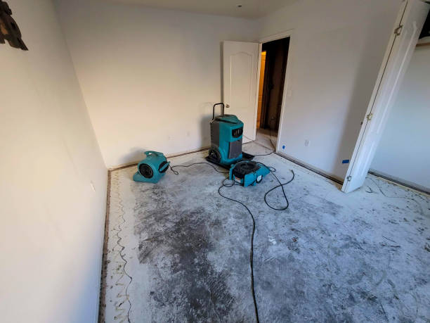 Best Professional water damage repair  in Tiffin, IA