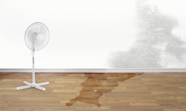Best Flooded house restoration  in Tiffin, IA