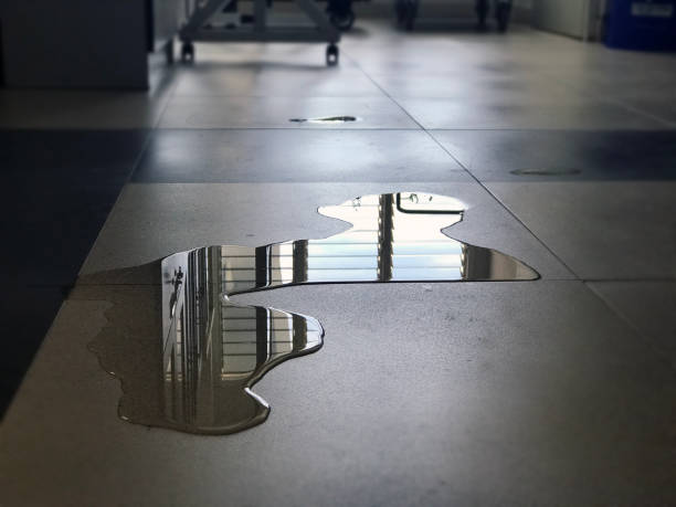Best Water damage restoration near me  in Tiffin, IA