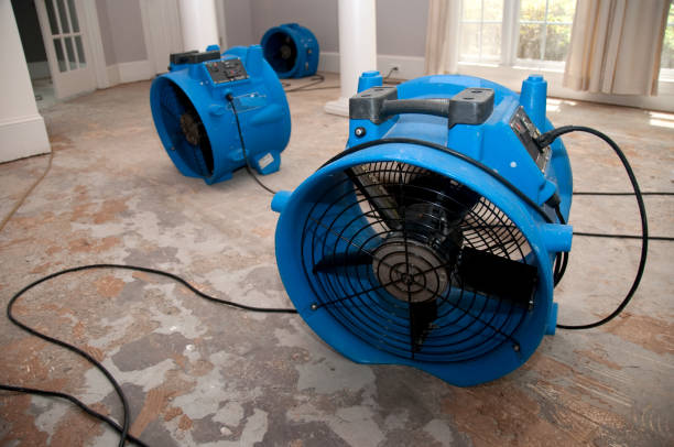 Best Flood restoration services  in Tiffin, IA