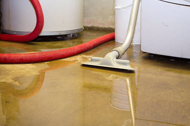 Best Professional water damage repair  in Tiffin, IA