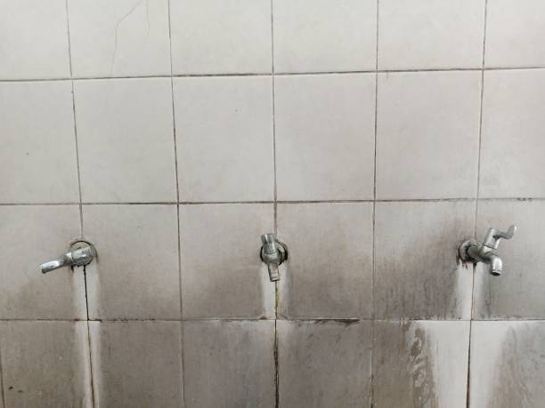 Best 24/7 water damage repair  in Tiffin, IA