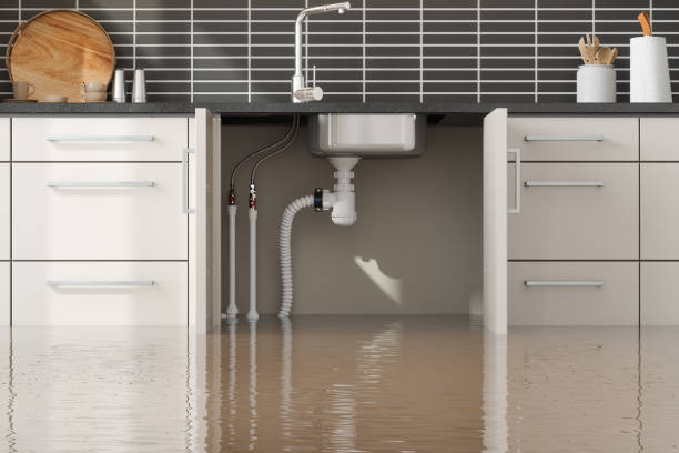 Best Basement water damage restoration  in Tiffin, IA