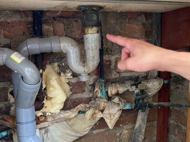 Best Commercial water damage restoration  in Tiffin, IA