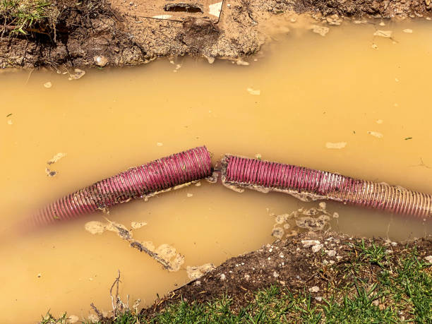Best Water damage cleanup near me  in Tiffin, IA