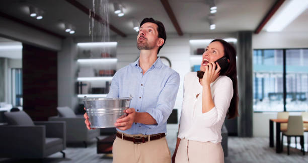 Best Residential water damage restoration  in Tiffin, IA