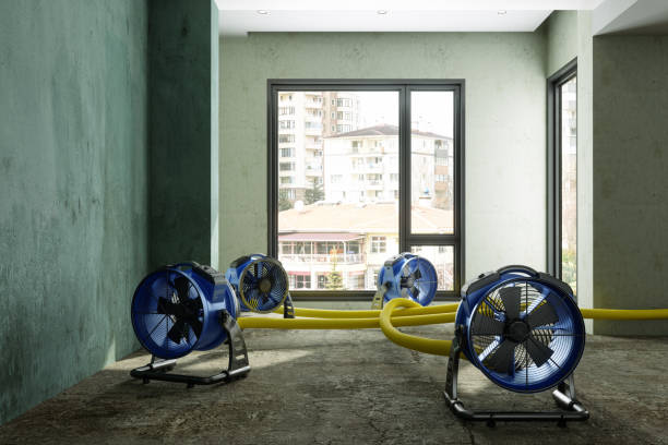 Best Water damage restoration near me  in Tiffin, IA