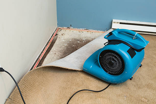 Best 24-hour water damage restoration  in Tiffin, IA